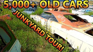 Tour a Western Classic Car Junkyard with OVER 5,000 Cars! Tons of RUST FREE Cars Sitting! (Old Cars)