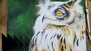 Owl in Acrylics - SPEED PAINTING Time Lapse