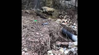 Cleaning Fersina gorges