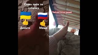 Я за укр но я люблю маму