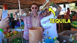 6 Hours in Tequila, Mexico 🇲🇽