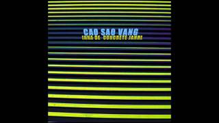 Cao Sao Vang - Devil On The Dancefloor