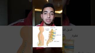 لو عندك ألم العمود الفقري الفقري اوعى تسكت |Spine pain