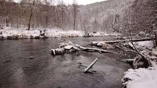 Winterwanderung entlang des Kamps (Stift Altenburg - Ödes Schloss - Steinegg)