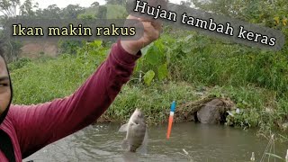 Ternyata Mancing Disaat Hujan DERAS// Ikan Nya Nambah GANAS dan RAKUS || DEWA fishing