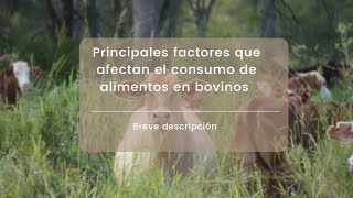 FACTORES QUE AFECTAN EL CONSUMO DE ALIMENTOS EN BOVINOS