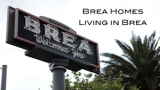 Living in BREA CA