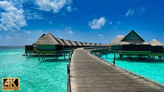 【 モルディブ 散歩】癒しの波音＆リラクゼーションBGM @ ジョアリ モルディブ｜Joali Maldives relaxing walk 4k video & Healing BGM