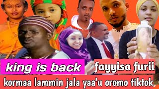 Fayyisaa furii- Qondaala New Ethiopian Oromo Music 2021(Oromo Tik tok Challenge) Asliboy-kiyar-maski