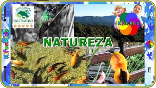 TURISMO EM SANTA CATARINA COM Kifunkids E PAISAGENS LINDAS DA NATUREZA HOTEL FAZENDA DONA FRANCISCA