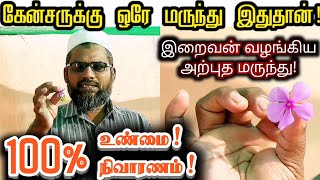 கேன்சருக்கு இறைவன் தந்த ஒரே மருந்து! ||  cancer medicine tamil || கேன்சர் நாட்டு மருந்து.