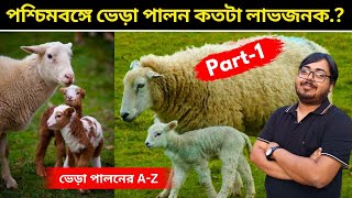 পশ্চিমবঙ্গে ভেড়া পালন কতটা লাভজনক.? How profitable is sheep rearing in West Bengal.?Part-1.