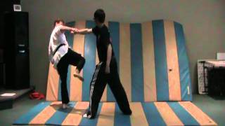 Straight punch self defence   Yellow belt self defence