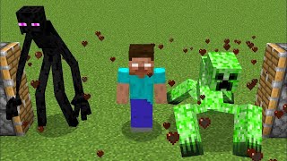 mutant enderman + herobrine + mutant creeper = ??? #791