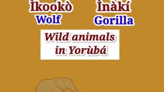 Yoruba Language - Wild Animals in Yoruba #shorts