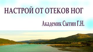 Настрой от отеков ног  Для мужчин и женщин  Академик Сытин Г.Н.