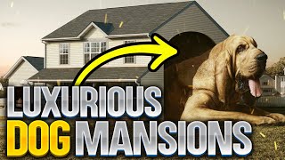 LUXURIOUS Dog Mansions | Top 10 Coolest Stuff