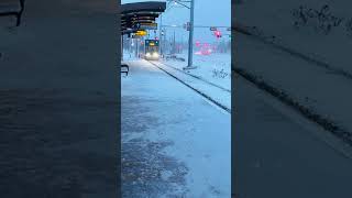 Snowy Edmonton ⛄️ ❄️ #edmonton #canada #viral #shorts #subscribe #1314canada #short #like