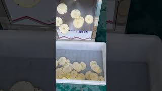 Automatic pineapple slicing and cutting machine