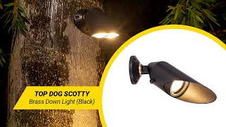 VOLT® Top Dog Scotty Brass Black Downlight | What's In The Box?