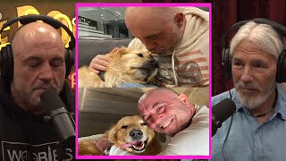 Joe Rogan Gets Emotional Over His Dog! | Joe Rogan & Dan Flores #jre