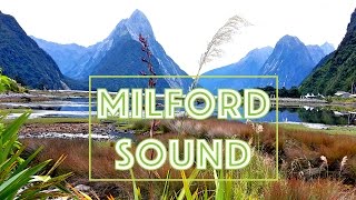 Eighth wonder of the world | MILFORD SOUND, New Zealand