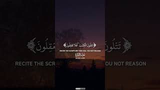 Beautiful Recitation of Surah Al Baqarah #youtubeshort #ytshorts #viral #source #quran #explore