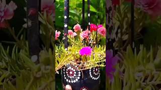 পর্তুলিকা/টাইম ফুল গাছ❤|gardening video🌿|প্রচুর ফুল পেতে বাগানে রাখুন এই ফুল গাছ🌷|#shorts #trending