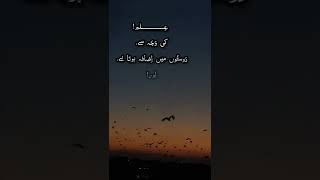 ilm ki waja sy dostoon me izaada hota hai aur doulat ki waja sy .. aesthetic Urdu lines