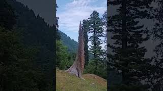 Tangmarg Kashmir: Baba reshi site #beauty #beautiful #kashmir