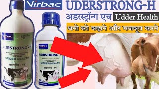 UDRSTRONG H | udder strong h | vita h for cow | udder strong h virbac.