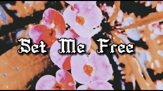 Joshua Bassett - Set Me Free (lyrics)