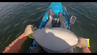 New Jersey 10 lb Fluke From A Kayak! Released!