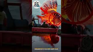 A Fisherman encounter giant flying lion fish #fishing #ai