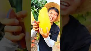 chinese fruit garden #shortsfeed #viralvideo #trendingvideo #trendingshorts #viralshort #viral