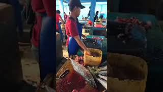 vlog pasar ikan terbesar di sorong