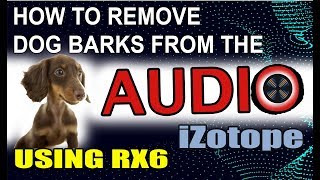 How to Remove Dog barks in the Audio Using RX-6 Izotope