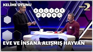 Eve ve insana alışmış hayvan | Kelime Oyunu