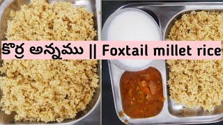 కొర్ర అన్నము పొడిగా రావాలంటే ఇలా వండండి || Foxtail millet rice preparation in telugu