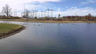 Me and Julissa bike riding at the park /pond