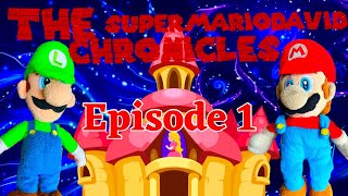 The SuperMarioDavid Chronicles: Mario & Luigi