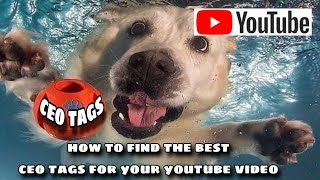 how to find the best ceo tags for your youtube video