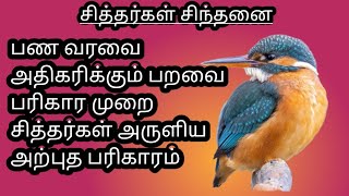 பண வரவை அதிகரிக்கும் பறவை தாந்திரீகம்