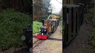 “Pulborough” pulls out of the Station