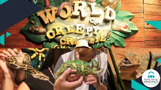 WORLD OF CREEPY CRAWLIES | MANILA OCEAN PARK (PART 4)