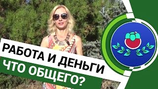 ⌚💲 Работа и деньги... Что общего между ними?