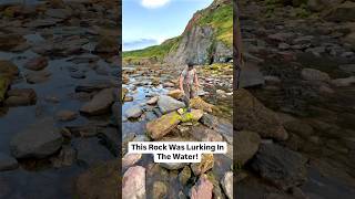 Fossil Rock Was LURKING In The WATER! 🏝️