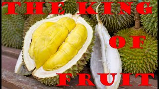 How to Add the King of Fruit to Your Travel Play Book!