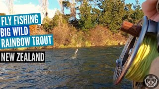 Fly Fishing New Zealand Fat Wild Rainbow Trout [Tongariro & Hinemaiaia River]