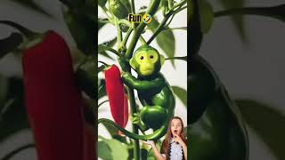 The Wacky World of Capsicum Monkeys #Shorts #trendingshorts